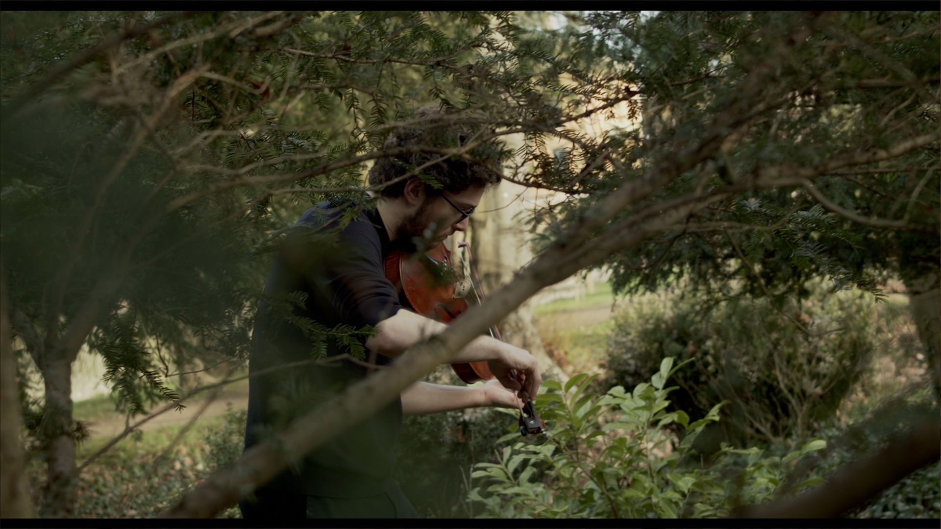 A figure plays the viola surrounded by woodland