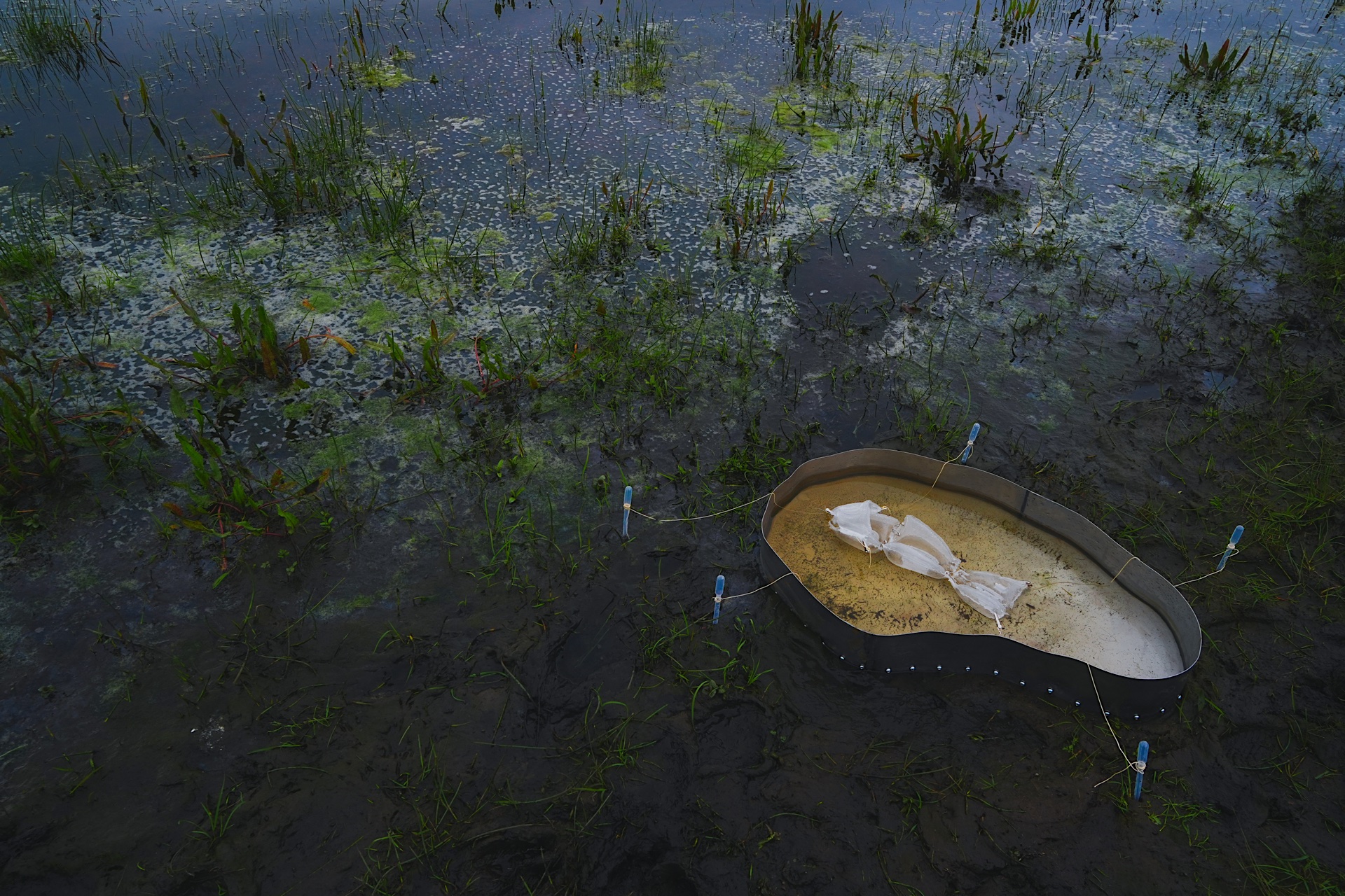 a site-specific installation and a short film