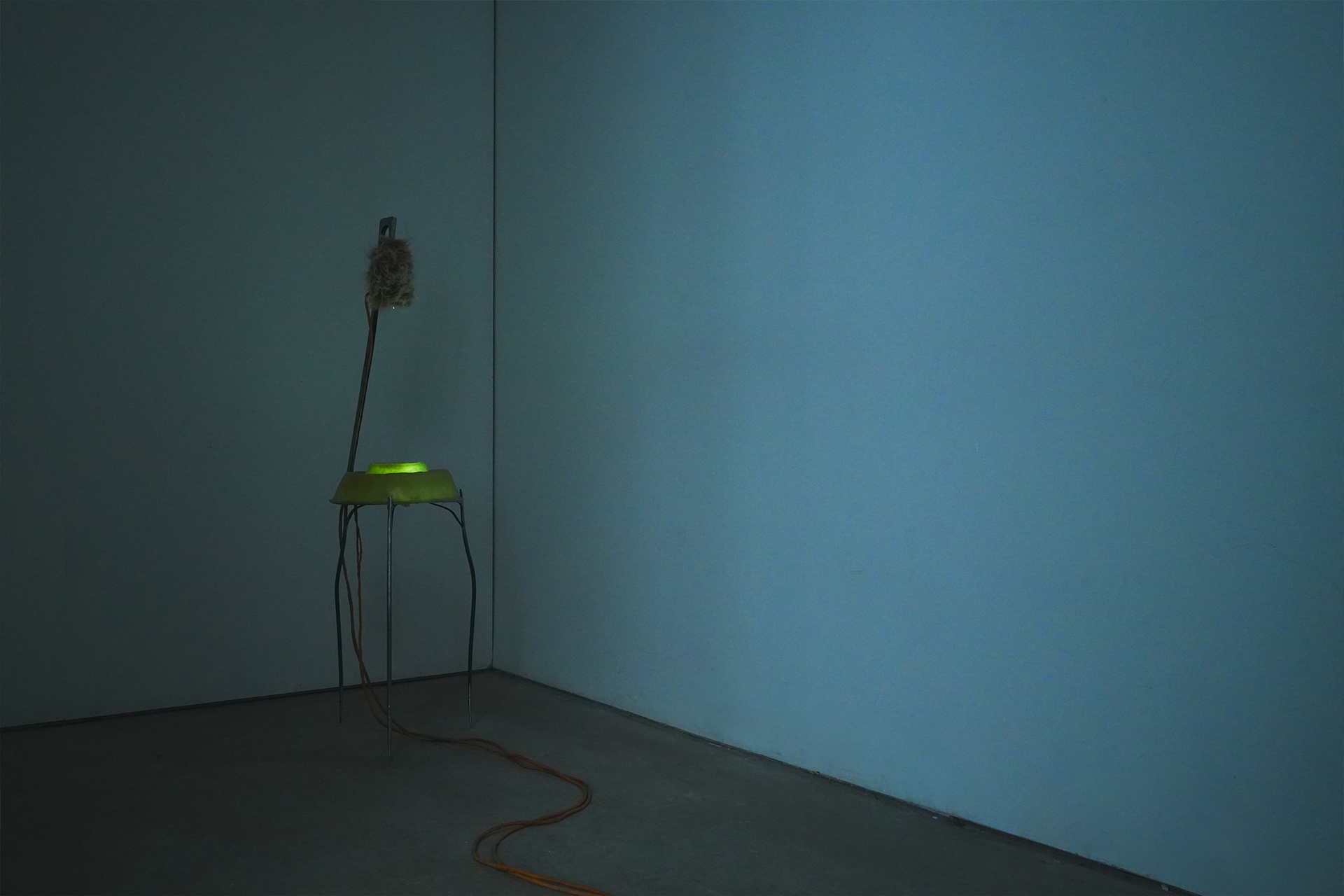a kinetic sculpture with projection