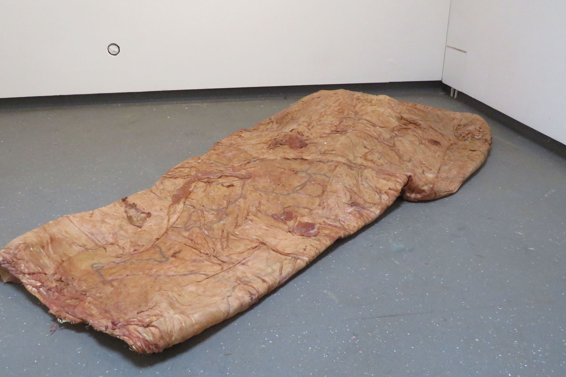 This image contains a large object which is made from liquid latex and fabric, forming very large skin like flat hollow object. It is quite long with one more bulbous end. It is pink, orange and yellow in colour it has many wrinkles and contains blue and r