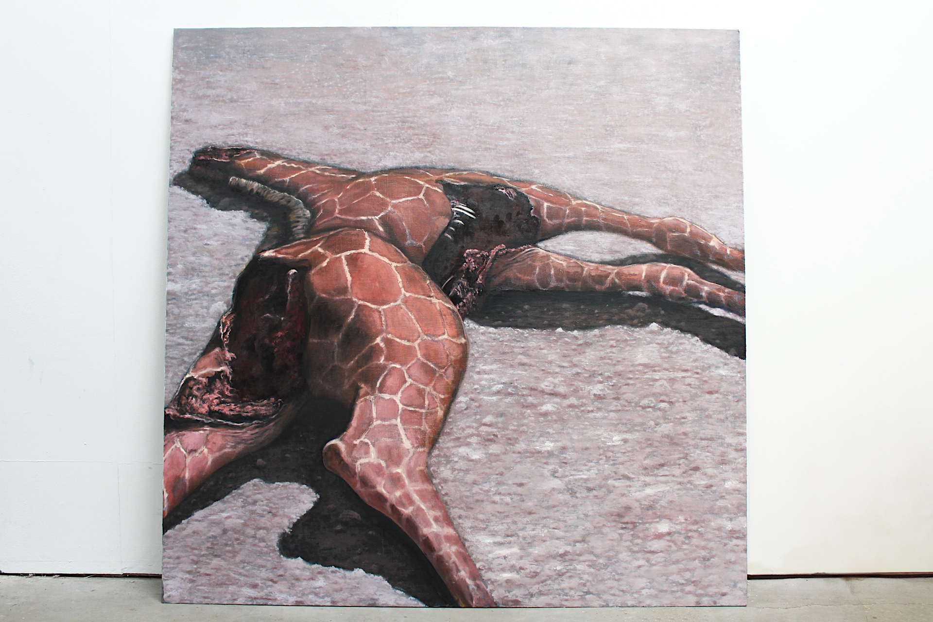 A square oil painting of a dead giraffe on a baron rocky ground. The giraffe has three main wounds on it's body, possibly from being eaten by a predator like a lion. One of the wounds is the end of the neck where the head is now missing.