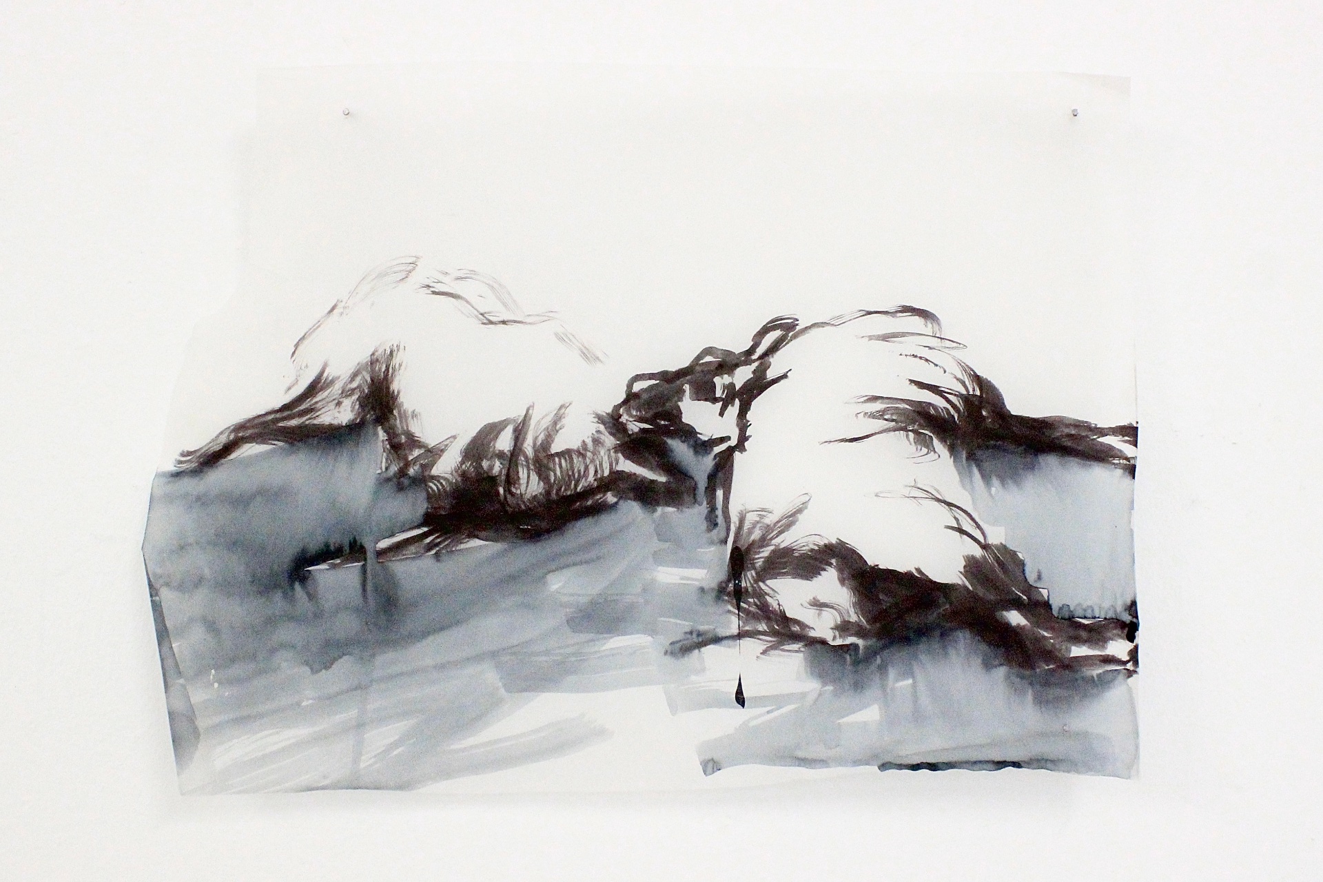 A drawing of two sheep lying next to each other, made in ink on tracing paper.
