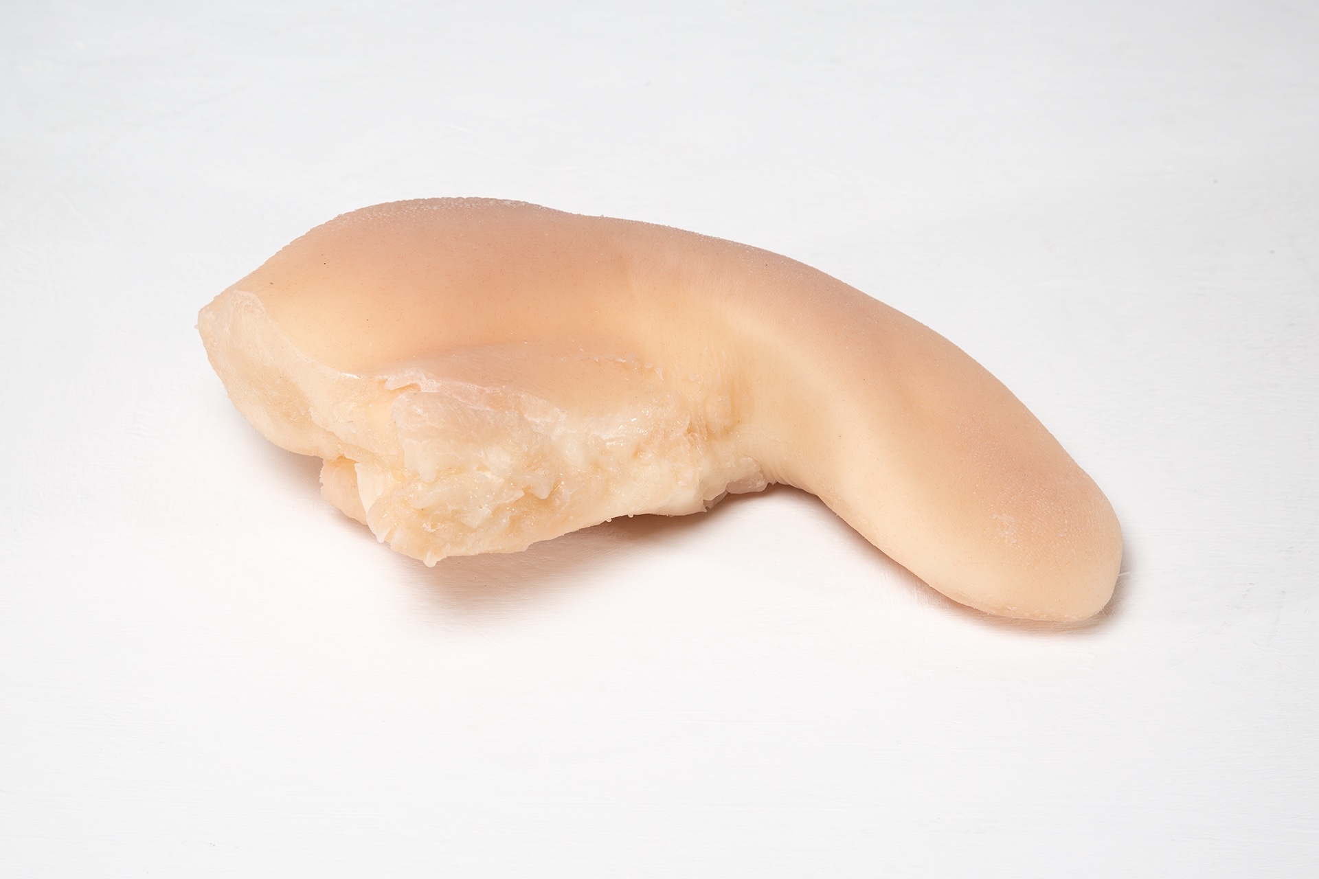 This is a life size cast of an ox tongue in a flesh coloured silicone, it appears phallic and squishy to the touch.
