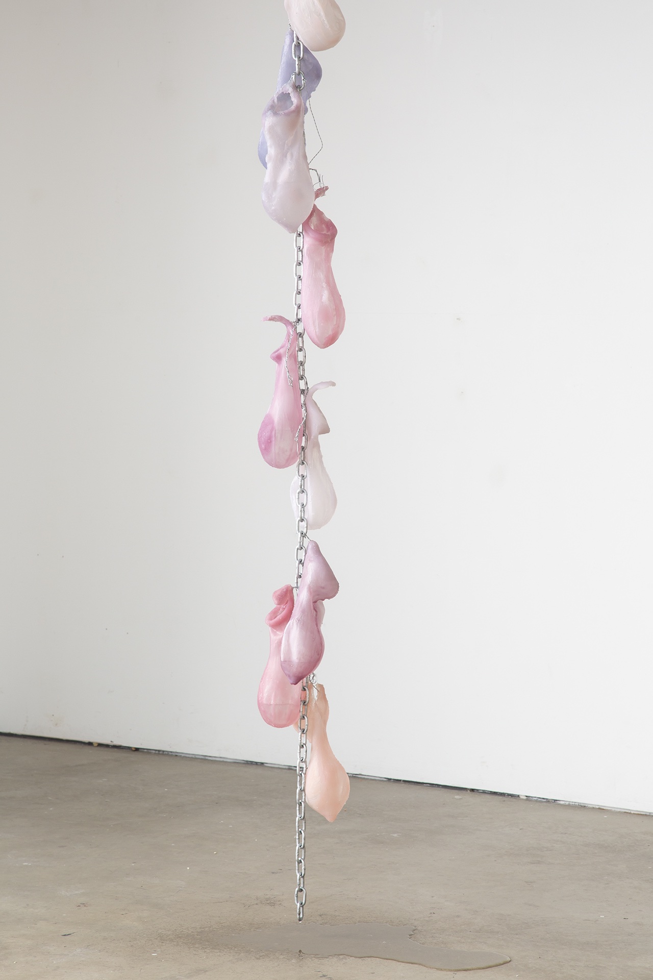 This sculpture has a long hanging chain with, silicone bulbus objects hanging off it, all are coloured in a pink to blue gradient, some have collected water within them, which has created a puddled on the floor. 