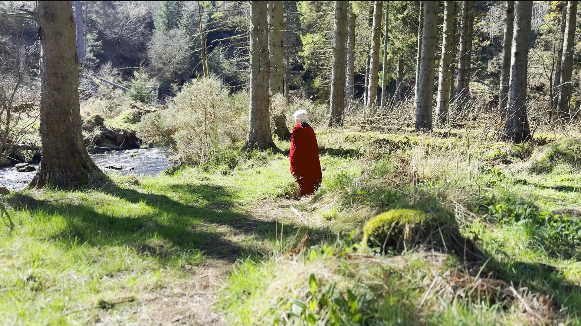 A film still of a person in a red cloak, standing in a sunlit woodland. The figure is looking contemplatively towards the sky.