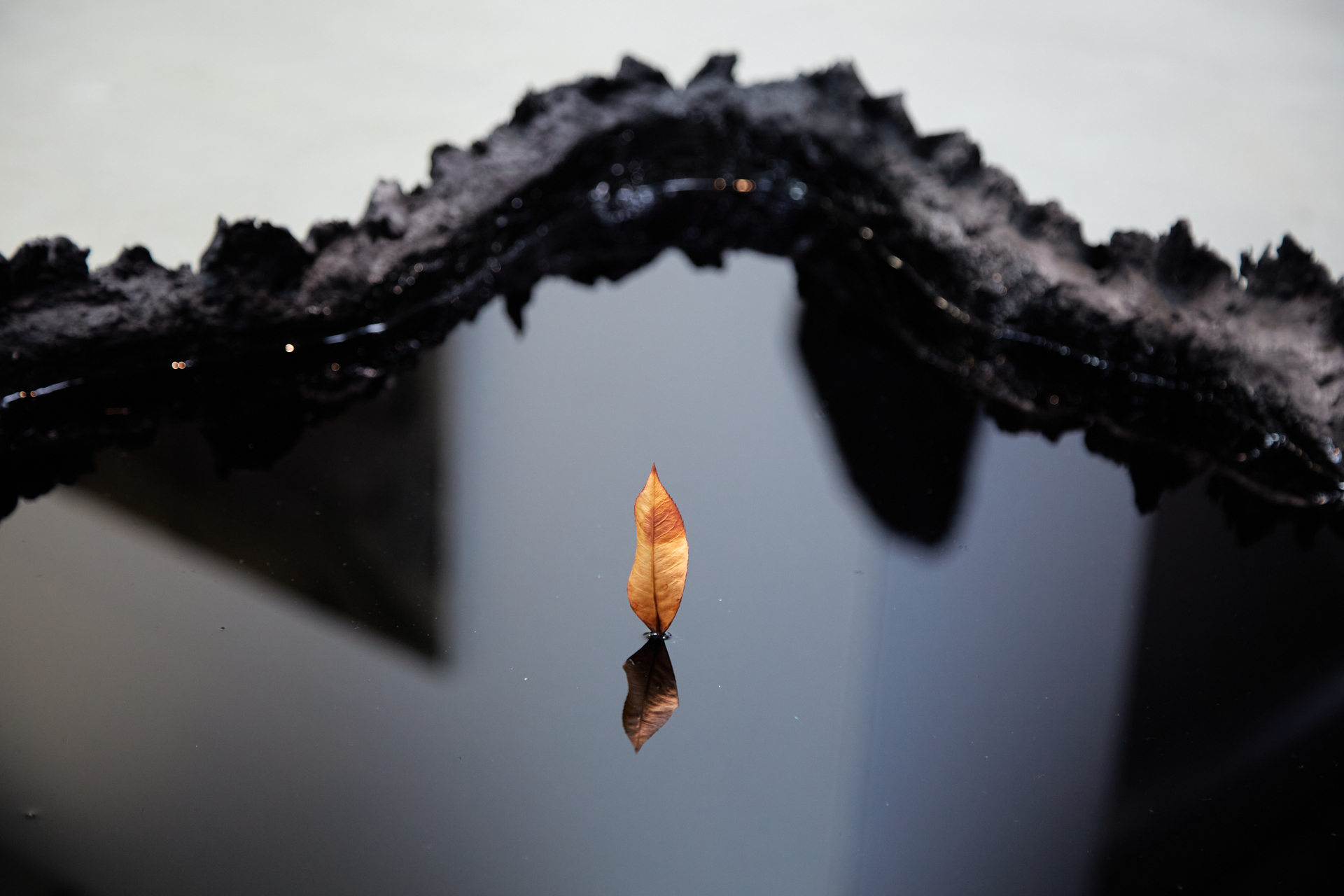 A single dry brown leaf floats vertically on the surface of a black, mirror-like liquid. The reflection is crisp and undisturbed, creating a surreal doubling of the leaf. The pool is framed by a jagged, blackened edge resembling burnt earth or bark.