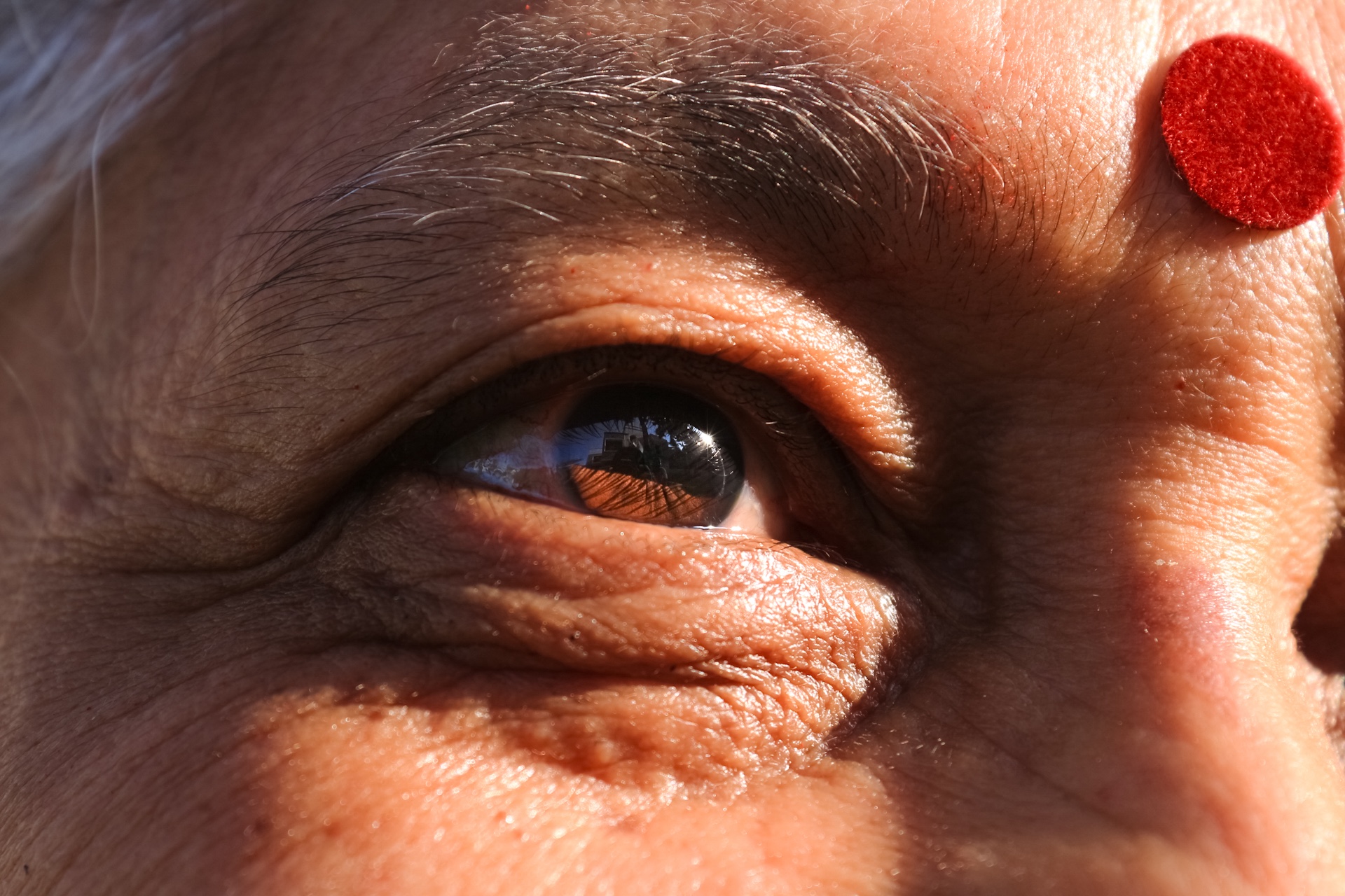 A closeup photograph of my South Indian grandmother’s eye with her bindi