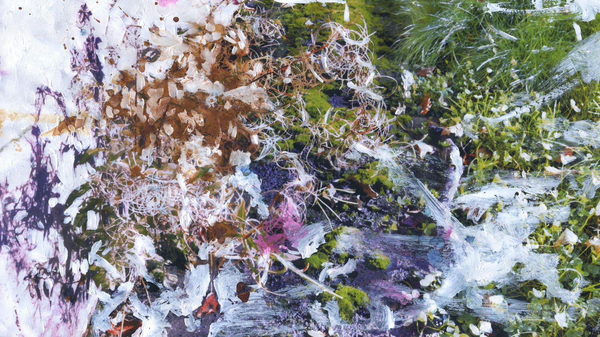 A photograph of moss and grass is sporadically painted over in white paint and brown and pink ink.