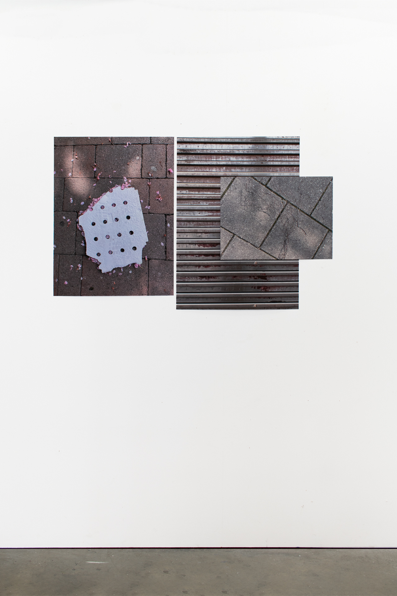 Three printed photographs on a wall. The first is of a found piece of polystyrene and flower petals on the floor, the second of corrugated iron and the third of a branch on the pavement.