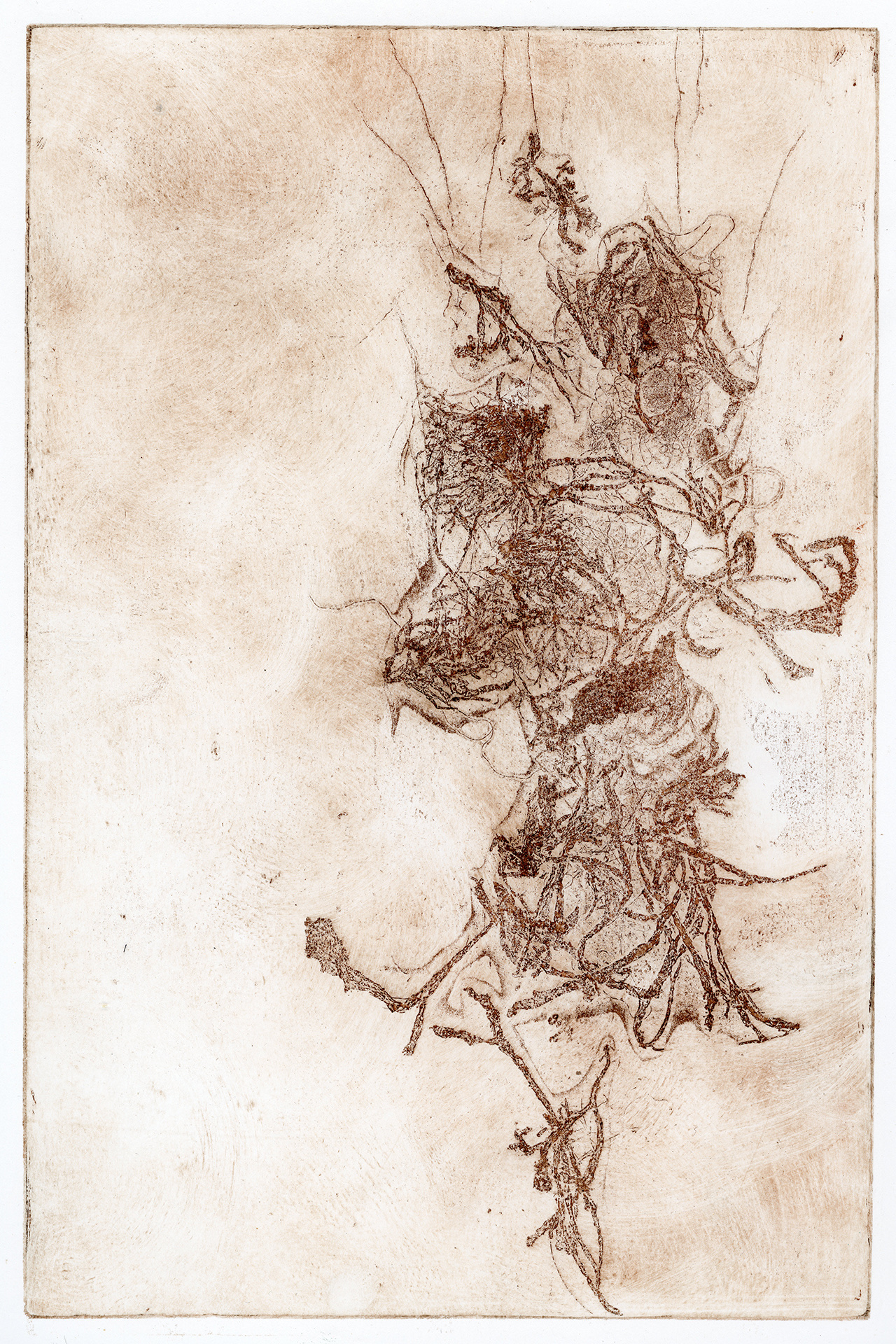A soft ground etching on paper in a rusted brown, impression of an ambiguous detailed lichen texture. 