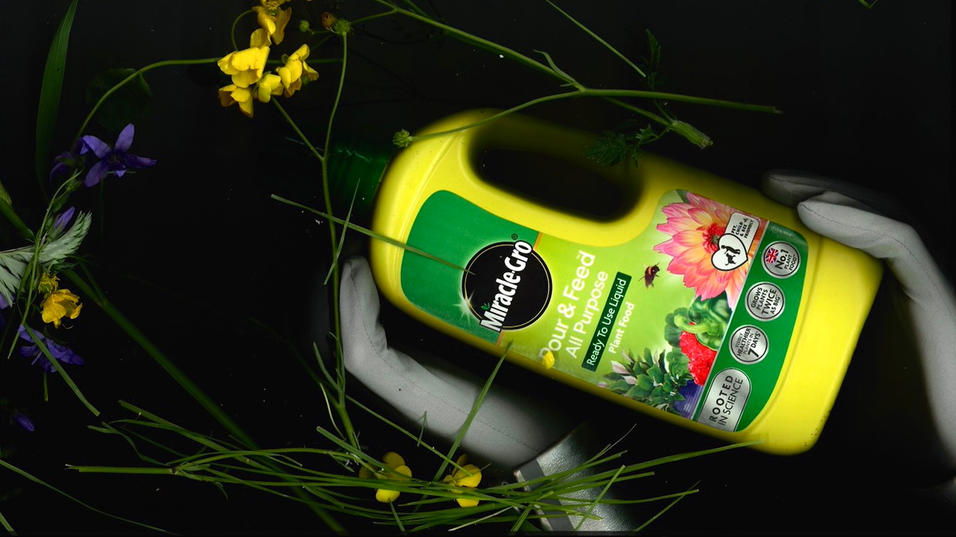 A scanned image of a miracle gro all purpose plant food bottle held in the hands of a silver figure with various plants and flowers such as grass and buttercups placed around the bottle. 
