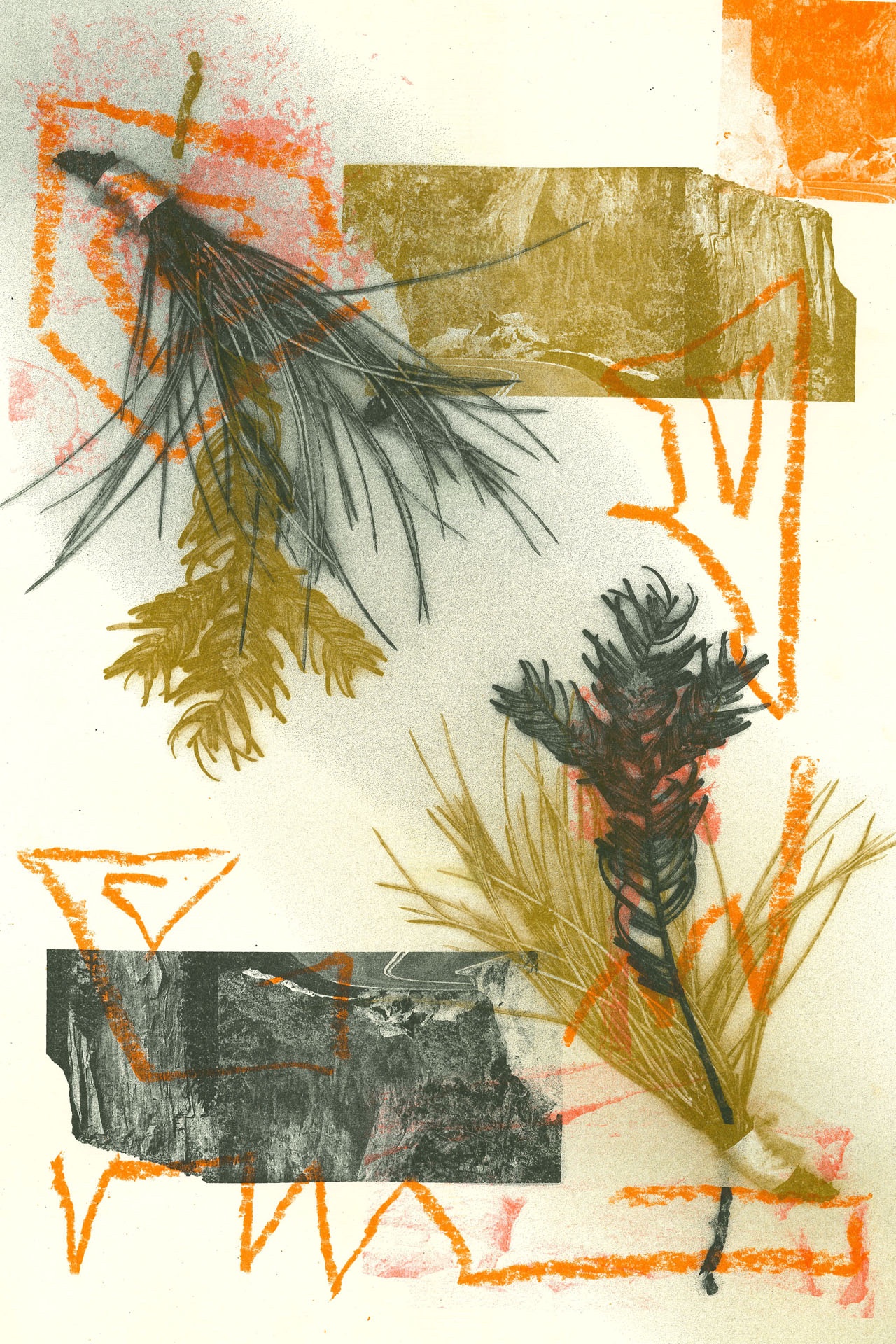 Orange wax crayon spirals over a mirrored collage of photographic Yosemite imagery and bundles of pine needles. 