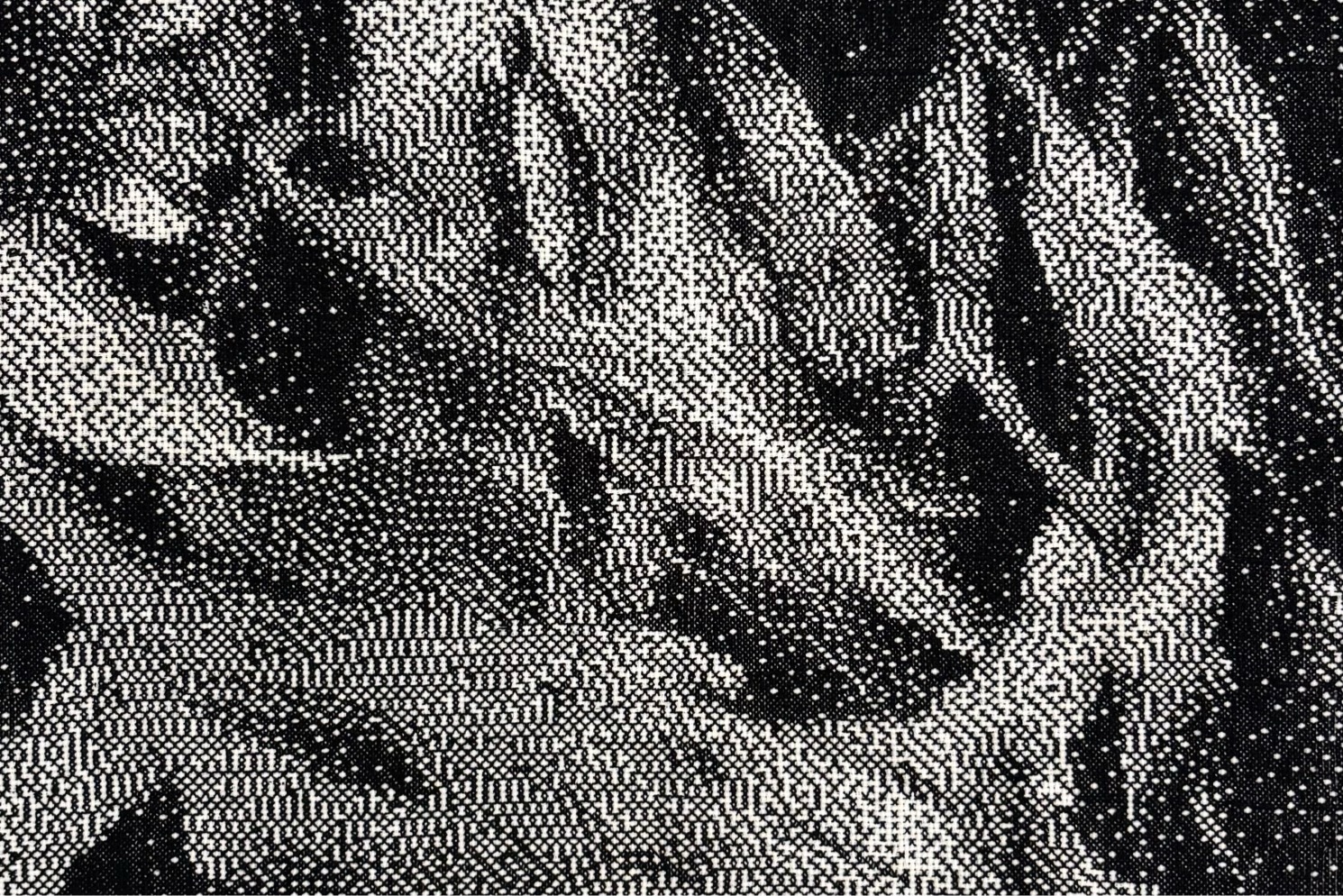 Image shows a black and white pixelated image of seaweed which has been crosstitched meticulously over a very long time.