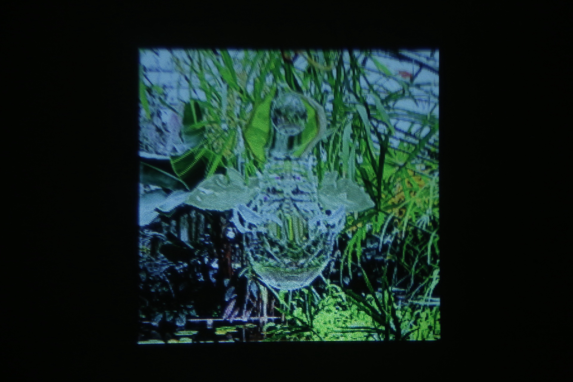 Projection of snapshots using an Instagram AR filter.