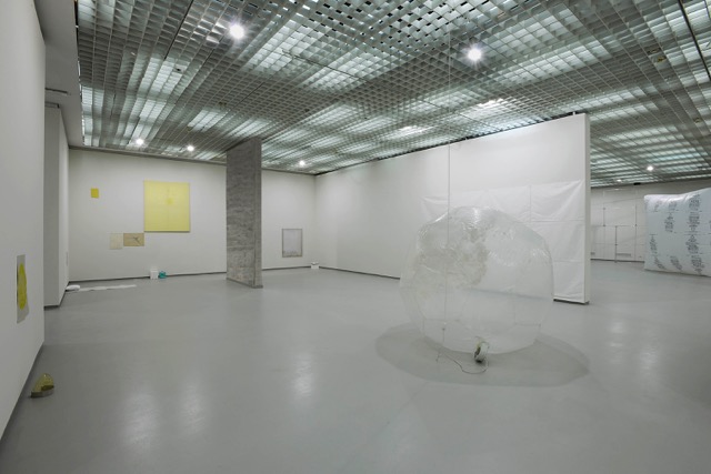 Ian Kiaer Installation view